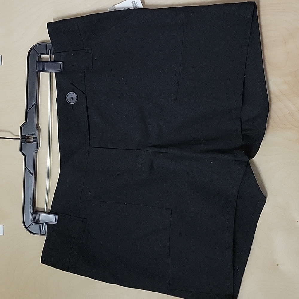 Drew Fit shorts from the Limited